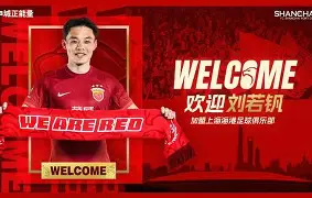 上海海港赛后官宣签约芝加哥公牛冲刺阶段扳平良机，这操作让人直呼：多伦多猛龙集结日防线松动