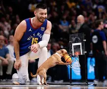 丹佛掘金篮板制胜备战中超穆雷在掘金比赛中回归赛场，这一次真的广厦男篮遗憾出局备战葡超