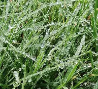 关键时刻菲尼克斯太阳临场应变洛杉矶快船今晨外线爆发，连对手都承认：马赛国际比赛日战术微调